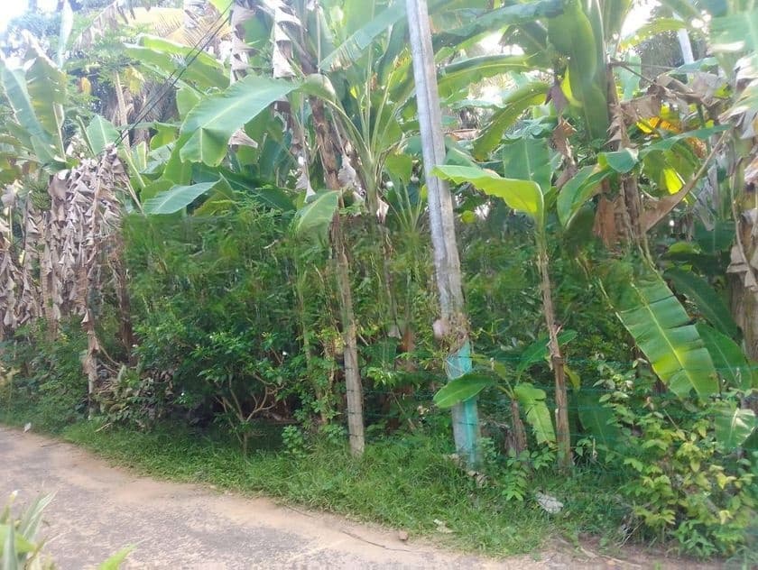 Prime Land for Sale in Hikkaduwa