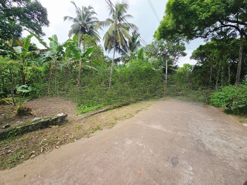 10P High Residential Bare Land For Sale In Thalawathugoda