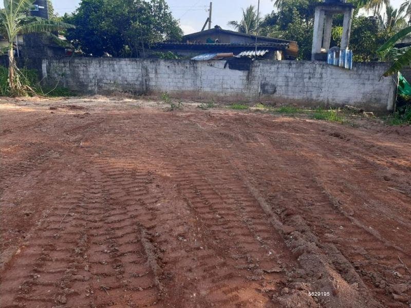 Negombo, Daluwakotuwa 11.7 Perchers Residential Land For Sale . Near By Loyala College negombo.