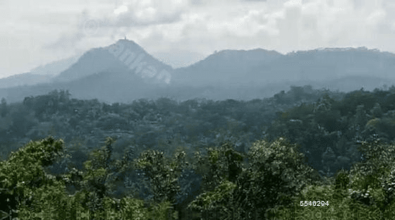 Land for Sale - Peradeniya | LKR 192,000,000