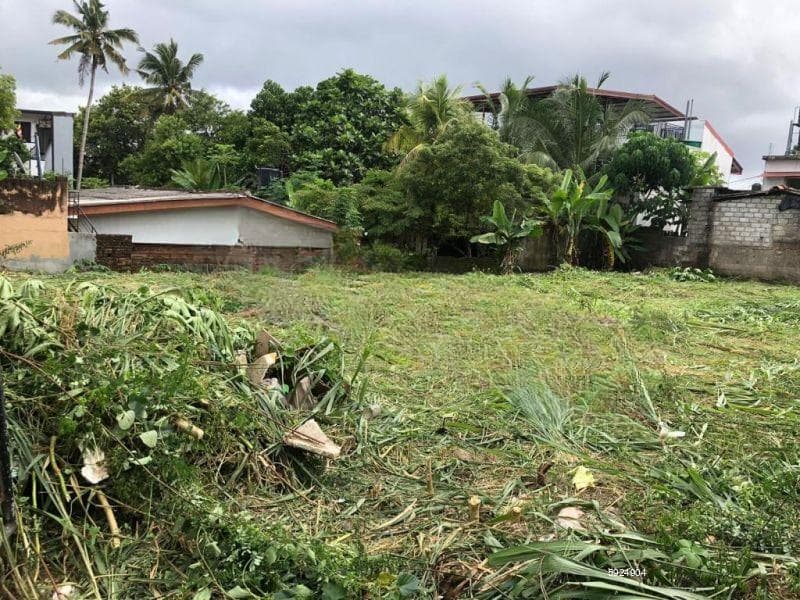 20 perch land in calm and quiet neighborhood; selling 10 perches also