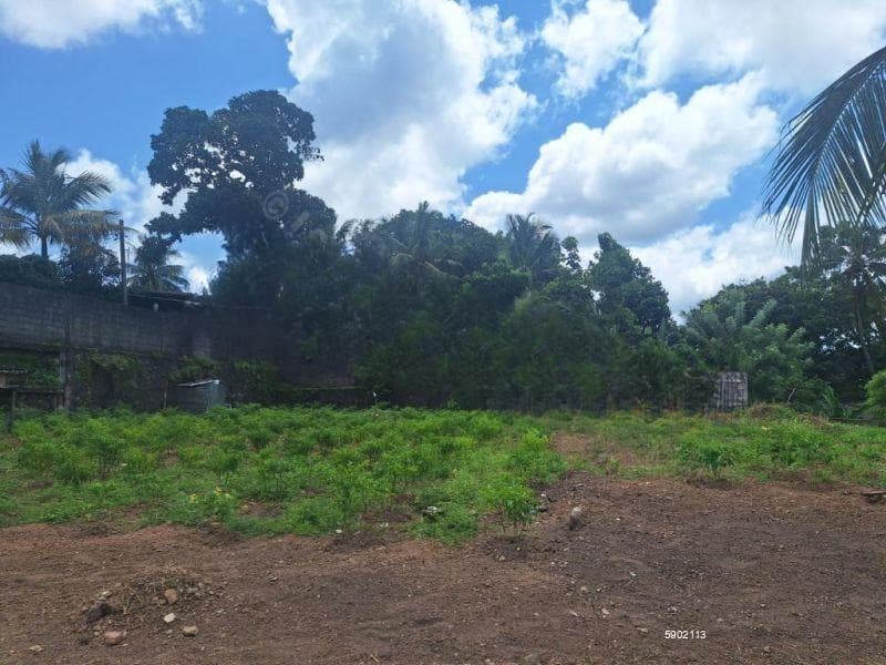 Prime Land for Sale – Hospital Road, Kotte