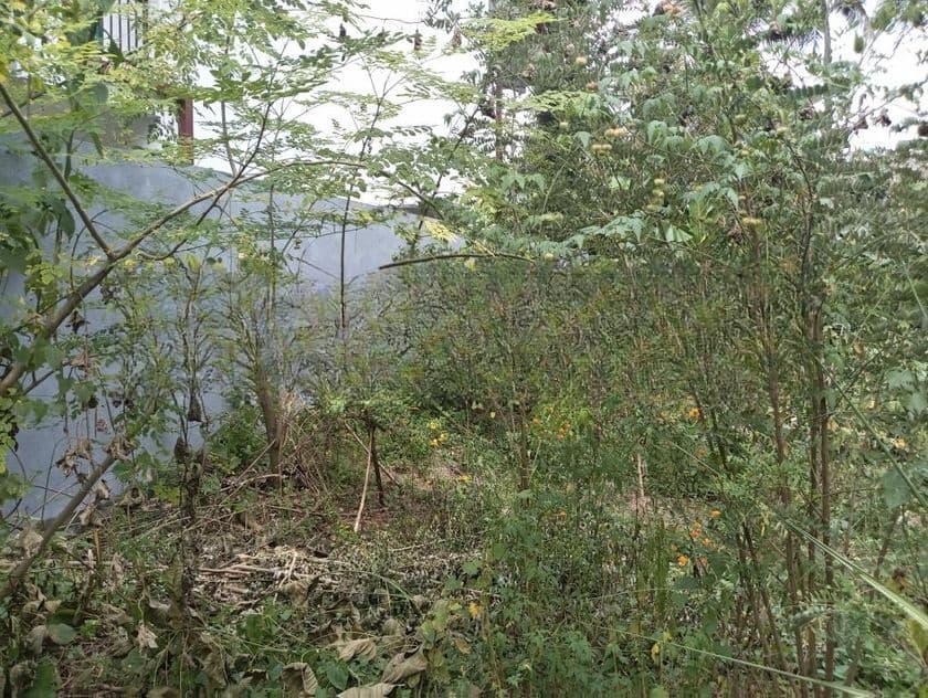 Top land for sale Nugegoda