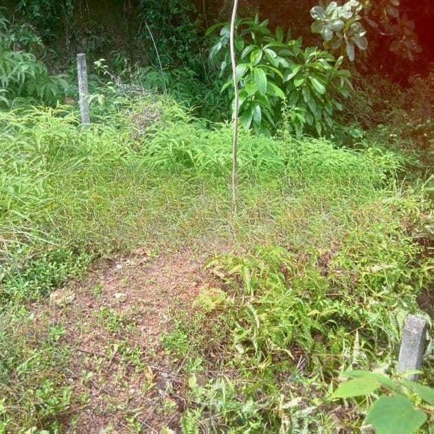 මිනුවන්ගොඩ බිම් කොටස්
