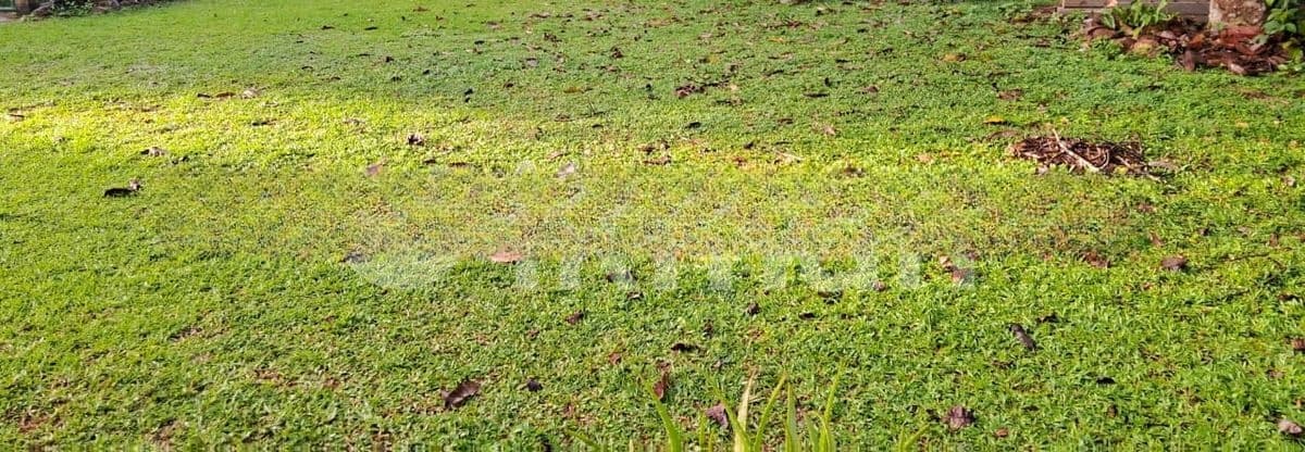Mount Lavinia : 10 perches Land for Sale at Off templers road