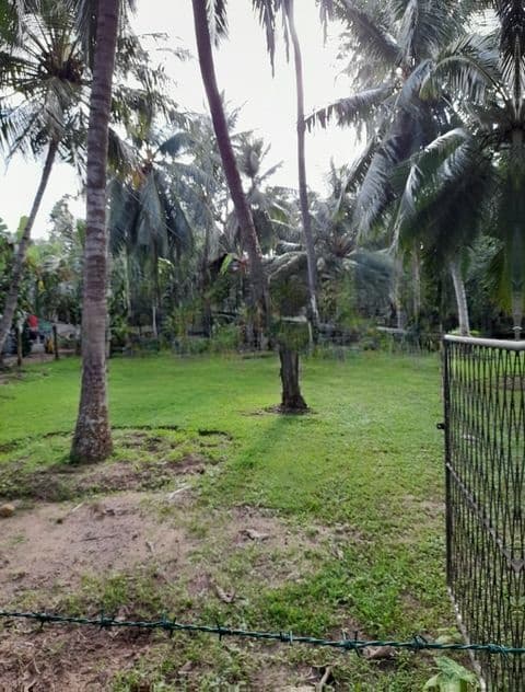 Land for Sale in Kochchikade