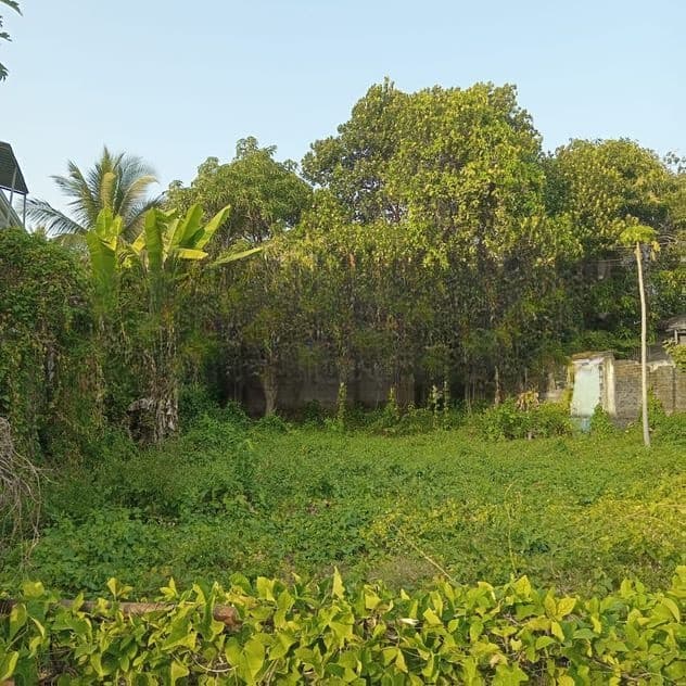 Land for sale in Dehiwala