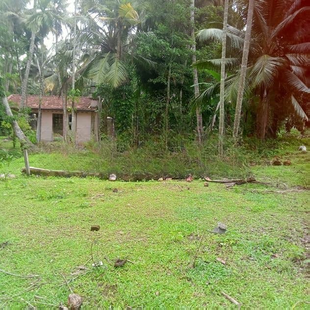 මිනුවන්ගොඩ, පන්සිල්ගොඩ බිම් කොටස්