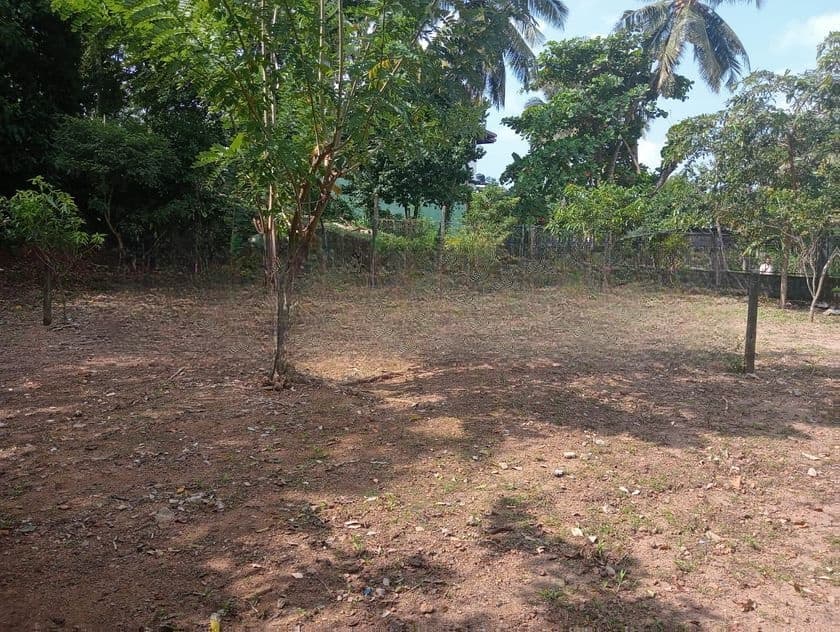 Nugegoda Nawala Road 11 Perches Land For sale