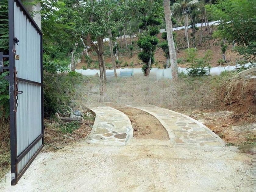 6 Acre Scenic Agricultural Land for Sale ( PRICE DROPED )