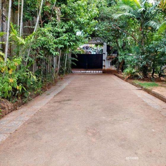 Large land with house; offered at bargain price