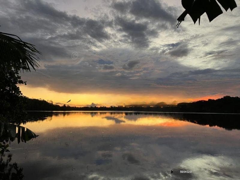 Prime River Front Land for Sale –Benthota
