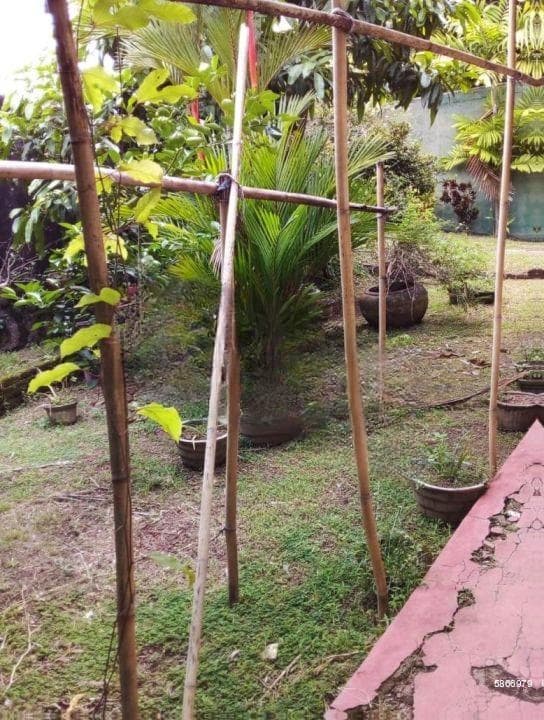 Land for sale in Mount Lavinia / 40 perches / Ideal for apartment development
