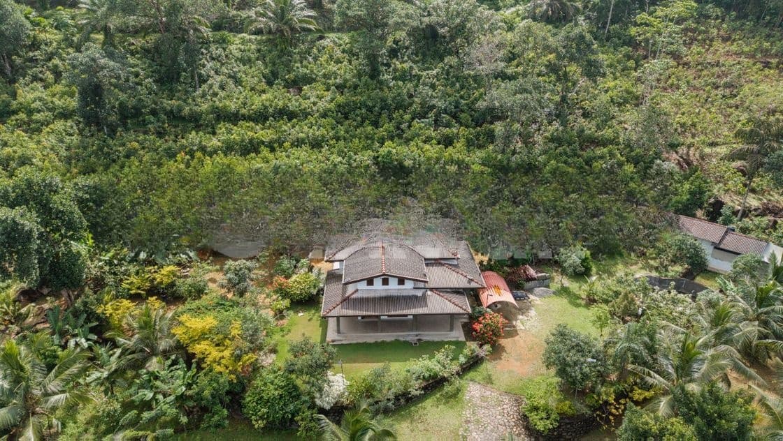 Land with Holiday Villa and 2 Acres Cinnamon in Poddala, Galle