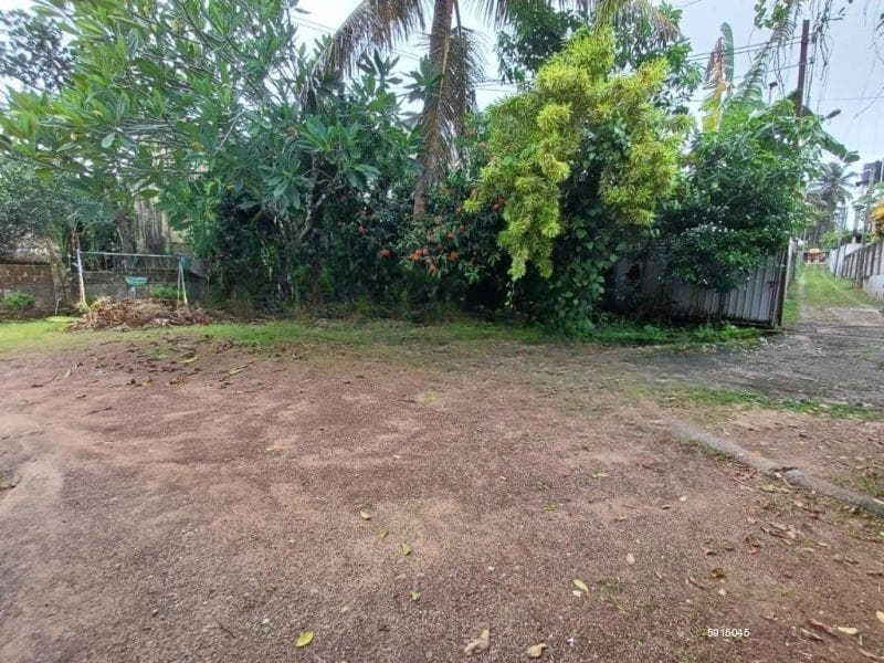 Land for Sale in Dehiwala Hill Street