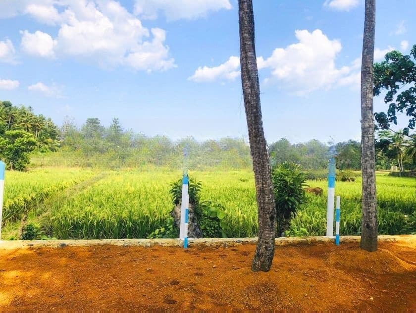 Residential Land for Sale in Pasyala D03