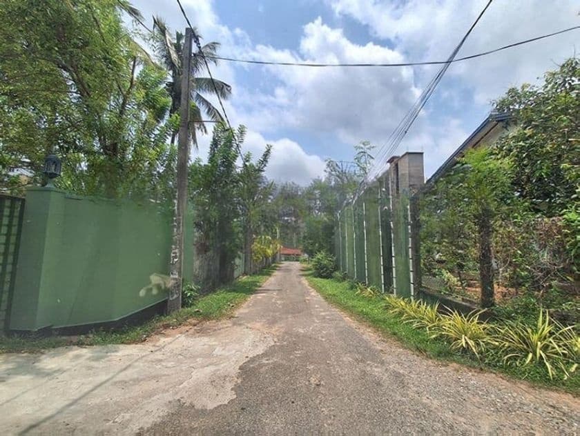 Valuable Residential Land for Sale in Indigolla, Gampaha.