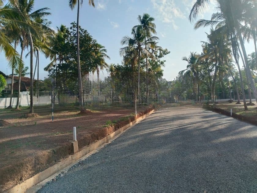 මීගමුව දoකොටුවෙන් නේවාසික බිම්කොටස්