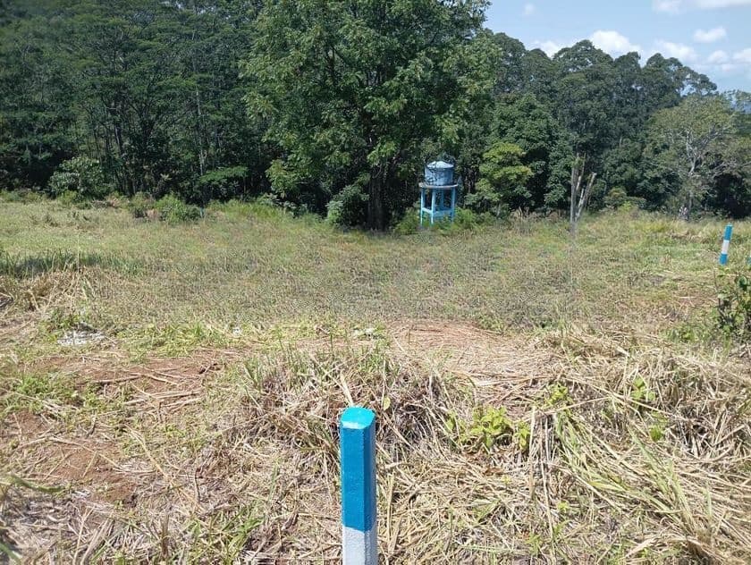 Land for Sale in Pussallawa