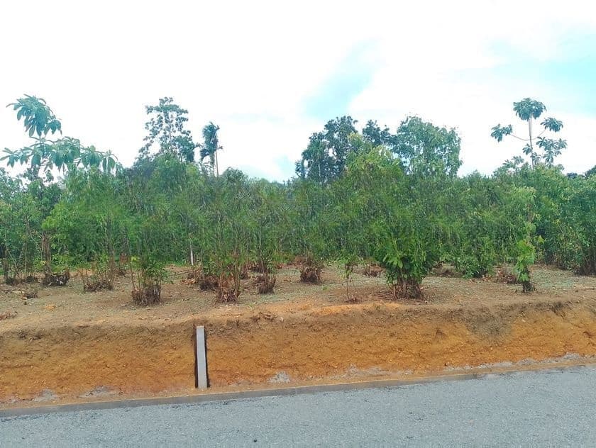 Land in Aluthwala