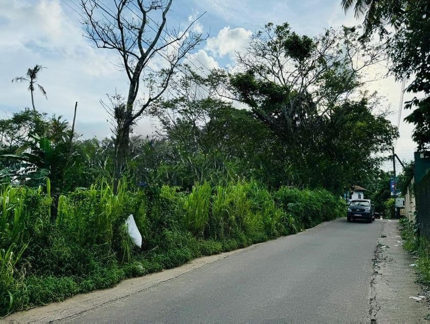 Land for Sale Pothuharawa Ds8020