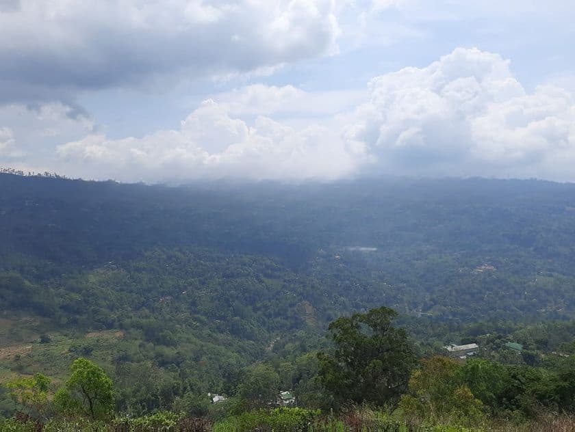Valuable Land for Sale in Pundaluoya