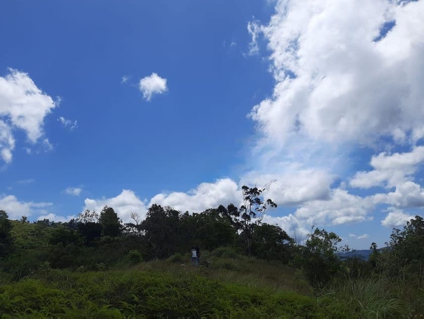 Land for Sale in Delthota