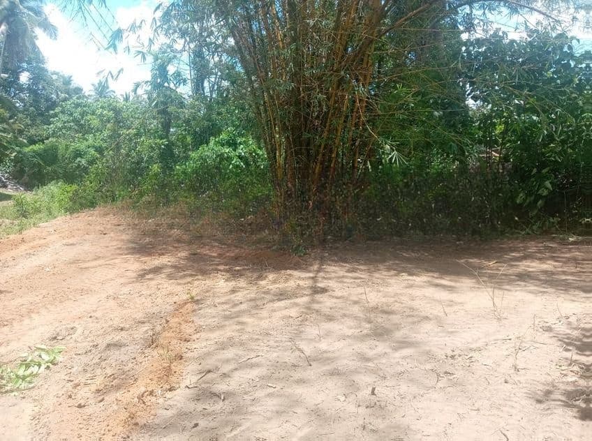 Prime Residential Land for Sale in Mawathgama, Pitipana, Homagama