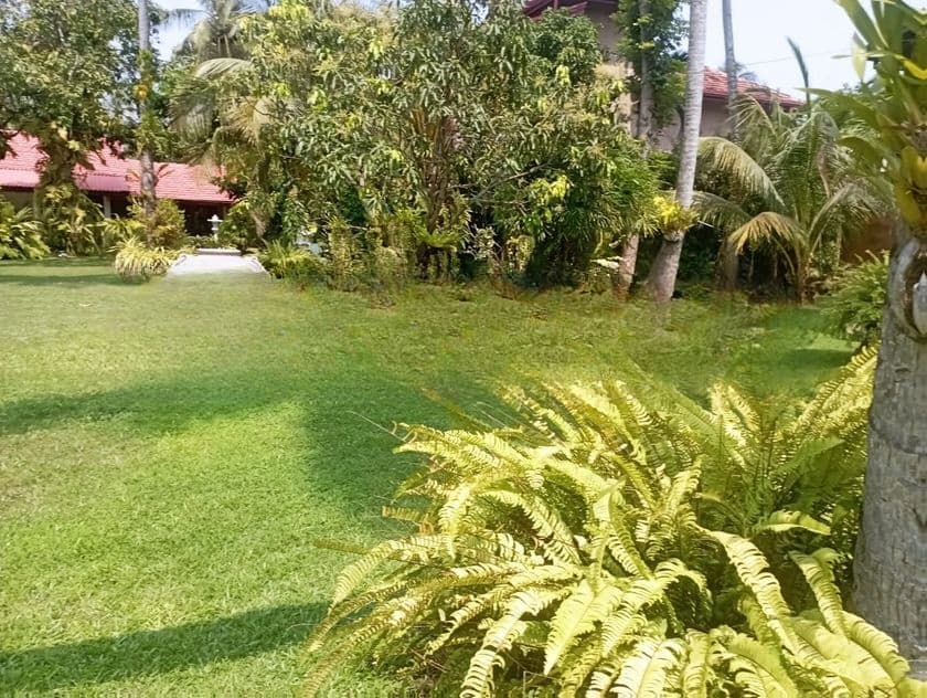 10 Perch Land For Sale Kurana Negombo Gampaha
