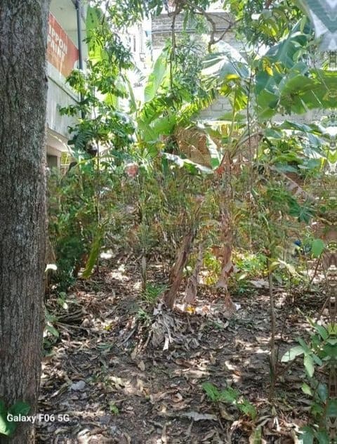 DEHIWALA OFF HILL ST SUMUDU RAJAPAKSHA MW 10.5 P BARE LAND FOR SALE