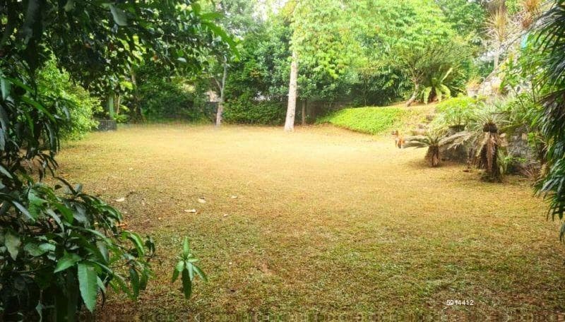 Prime Residential Land for Sale in Thalawathugoda – Landscaped Garden & Ready-to-Build Plot