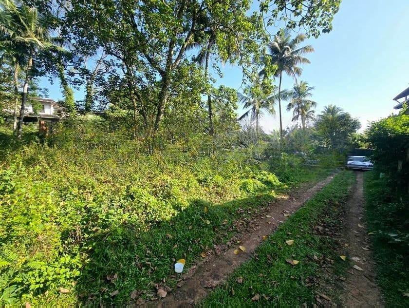 45P Bare Land For Sale In Pelawatta
