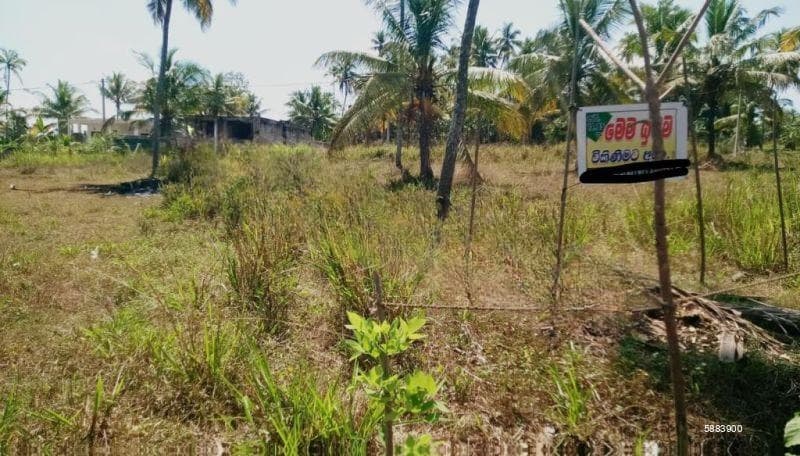 Land For Sale in Pannala, Sandalankawa (SSPL-341)