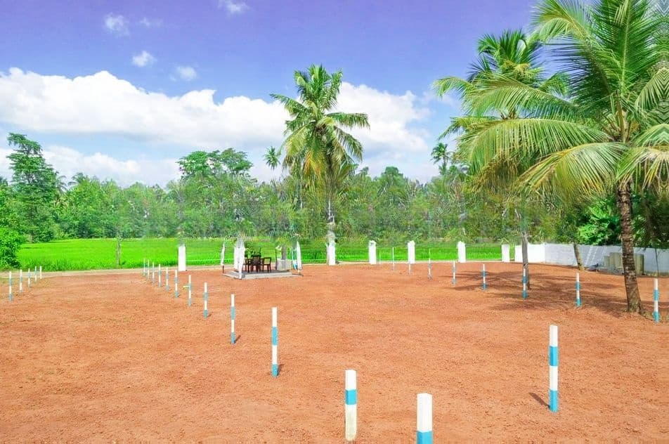 Superb Land for Sale in Dambadeniya P6
