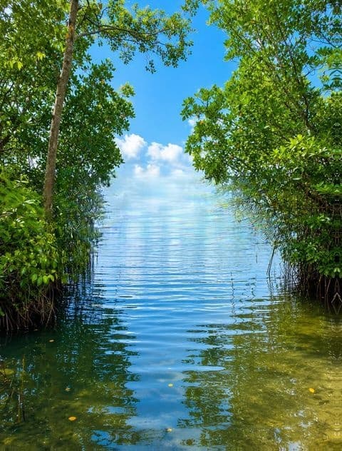 Most Valuable Land in Koggala