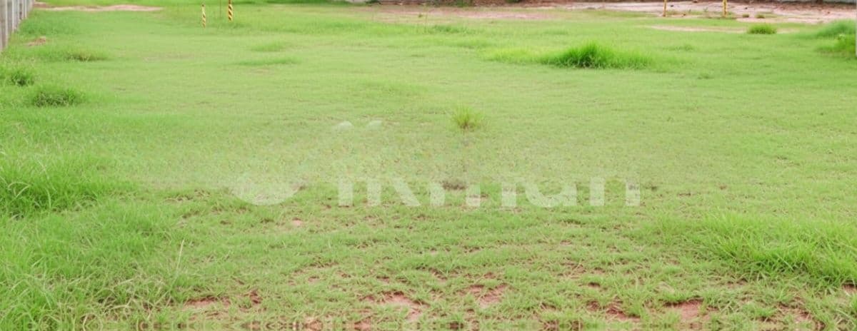 15 Perches Bare land for sale in Mount Lavinia (C7-10219)