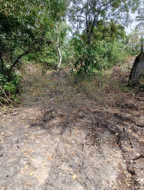Prime 178 Perch Tourism/ Development Land in Rathgama | SL14751