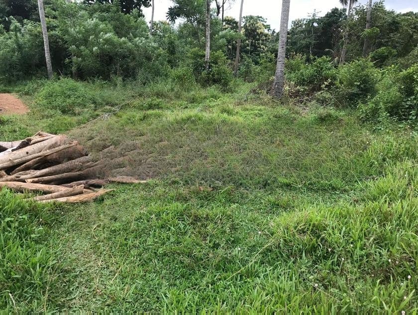 Agricultural Land for Sale at Pannala