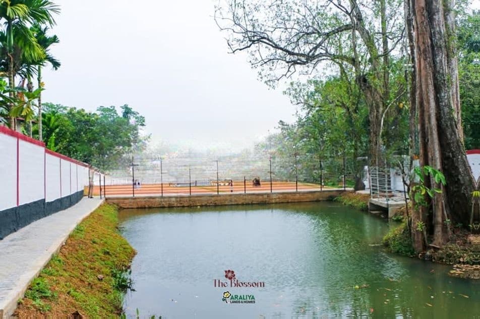Gampaha - Oruthota Land For sale