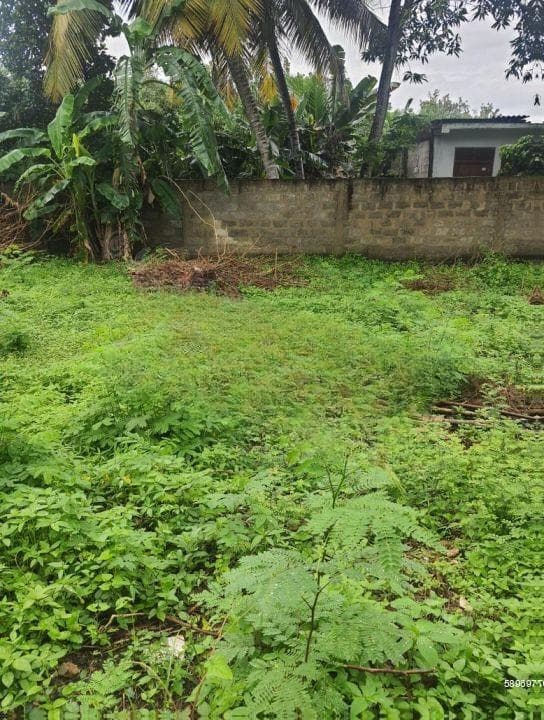 Dehiwala Land for Sale|7 Perches| 150 meters to Marine Drive| Price REDUCED| Rs. 6.9 Mil