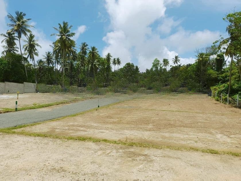 Valuable Land for Sale Minuwangoda