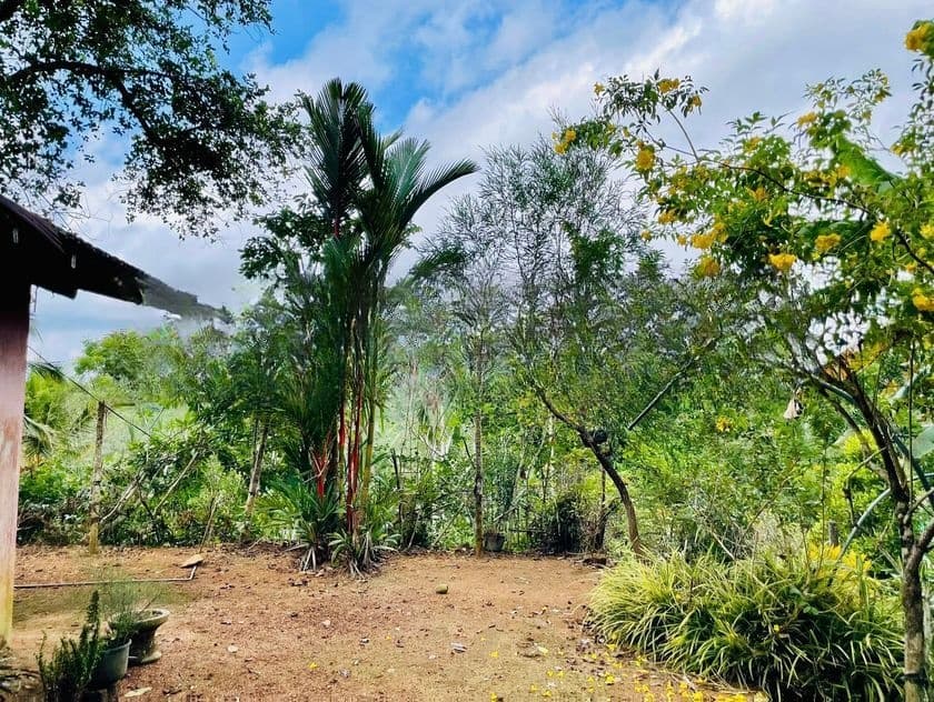 Land for sale in urapola