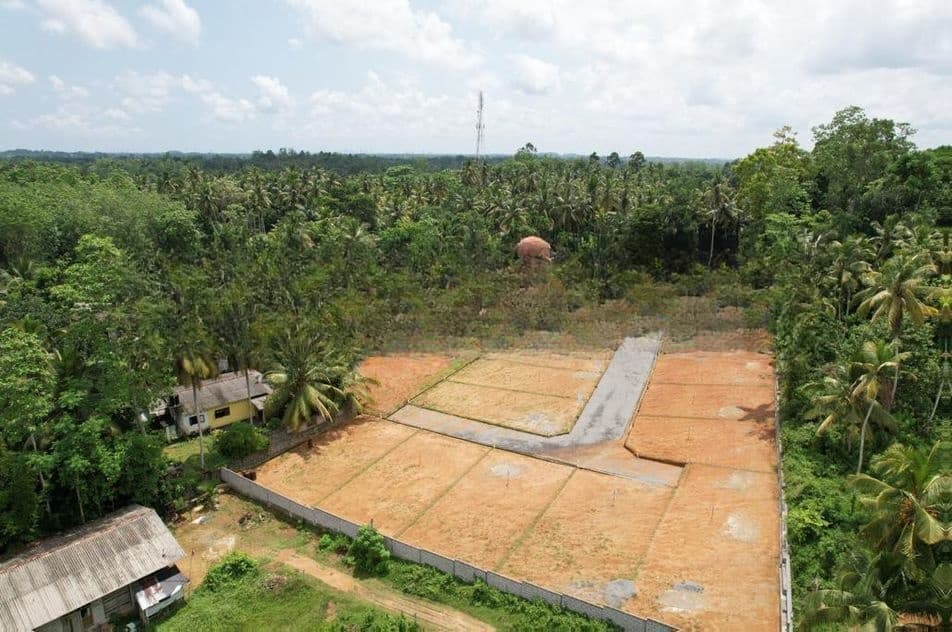 පිටිපන හංදිය ආසන්නයෙන් හරිත පැහැයෙන් පිරුණු සශ්රීක පරිසරයකින් ඉඩමක්
