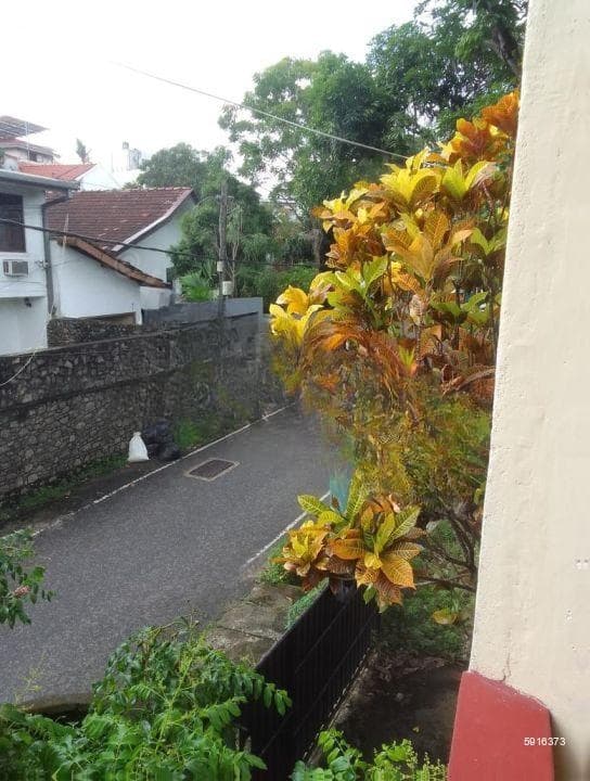 Room for Rent In Nawala (FEMALES ONLY)