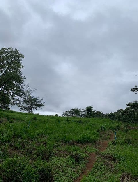 Land for Sale in Pussellawa