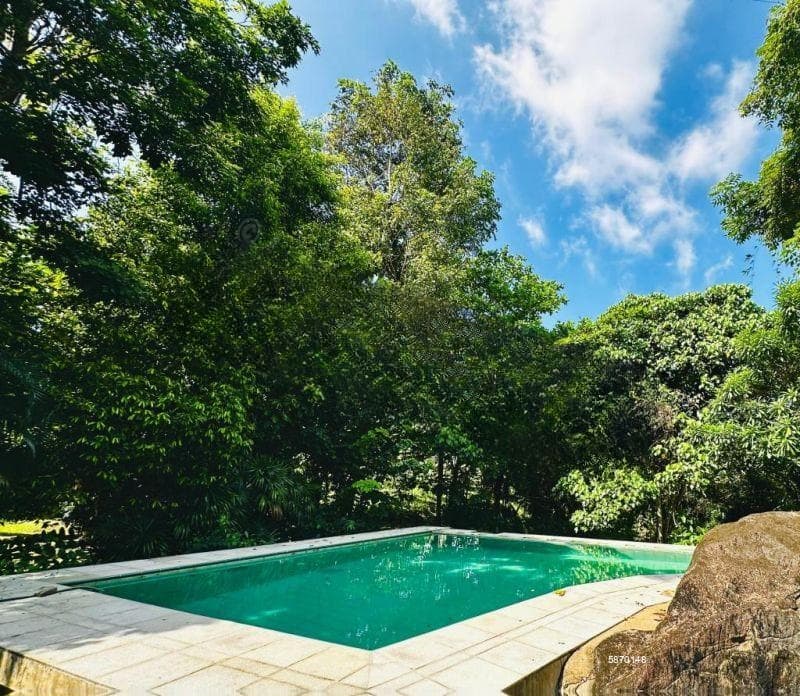 Beautiful home with a large garden and pool in Pelawatte