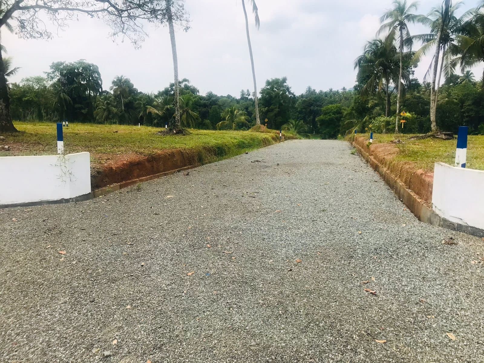 231 ගම්පහ කිරිදිවැල පාරට අතේ දුරින්