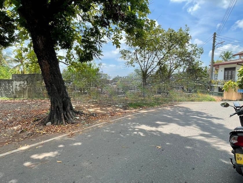 Super Land for Sale in Thalahena Ds171715
