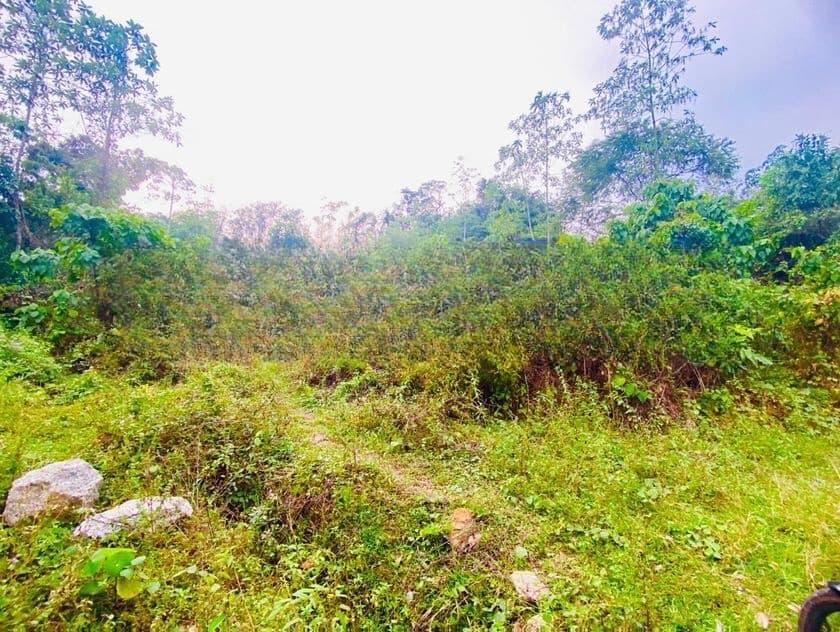 ( IS-1001) Valuable Commercial Land Sale in Homagama Madulawa