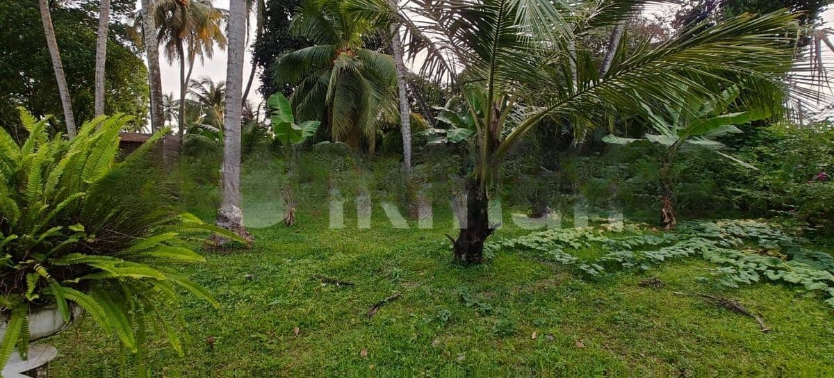 Land for Sale in Kelaniya - (#ls2006)